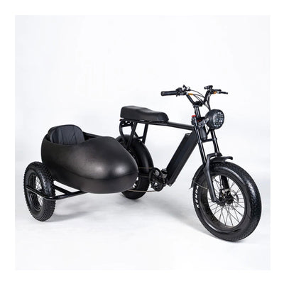 SoverSky SoverSky| 28MPH 35Miles Shimano 6-Speed 750W Lithium Bike with Sidecar - eBike Haul