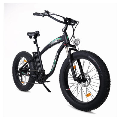 ECOTRIC UL Certified-Ecotric Hammer Electric Fat Tire Beach Snow Electric Bike - eBike Haul